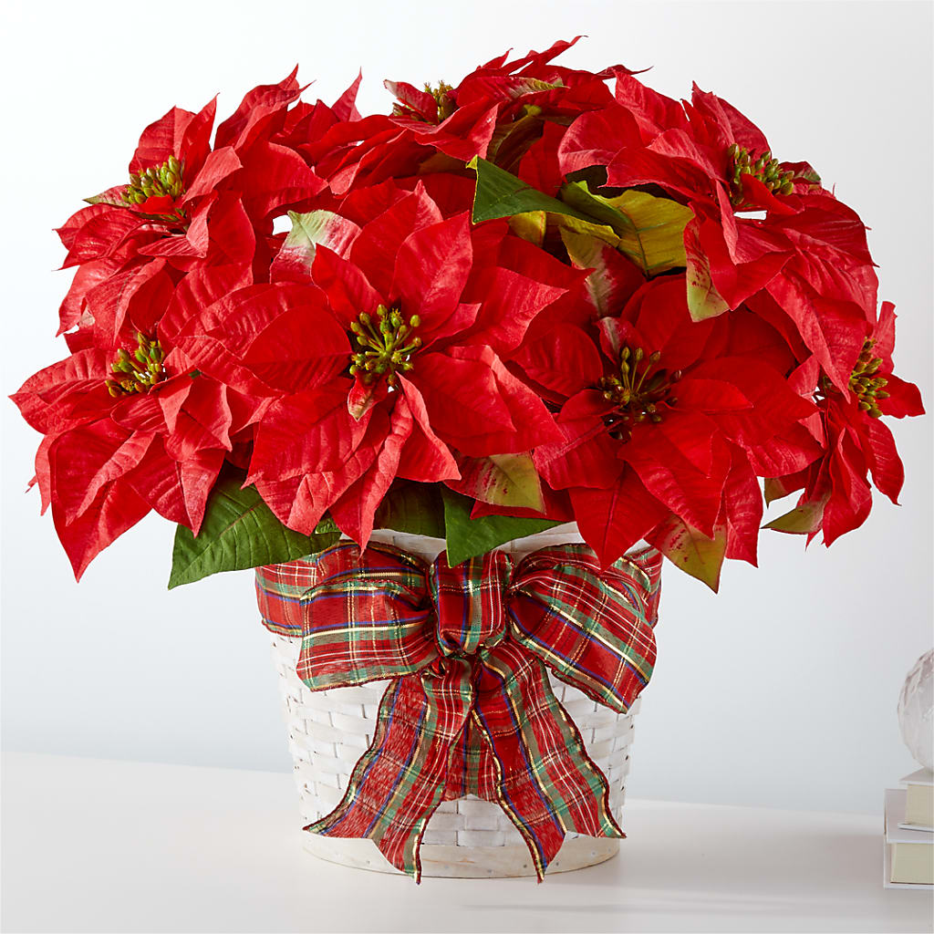 Happiest Holidays Poinsettia – ROBIN'S CORNER FLOWER SHOP, Taunton MA