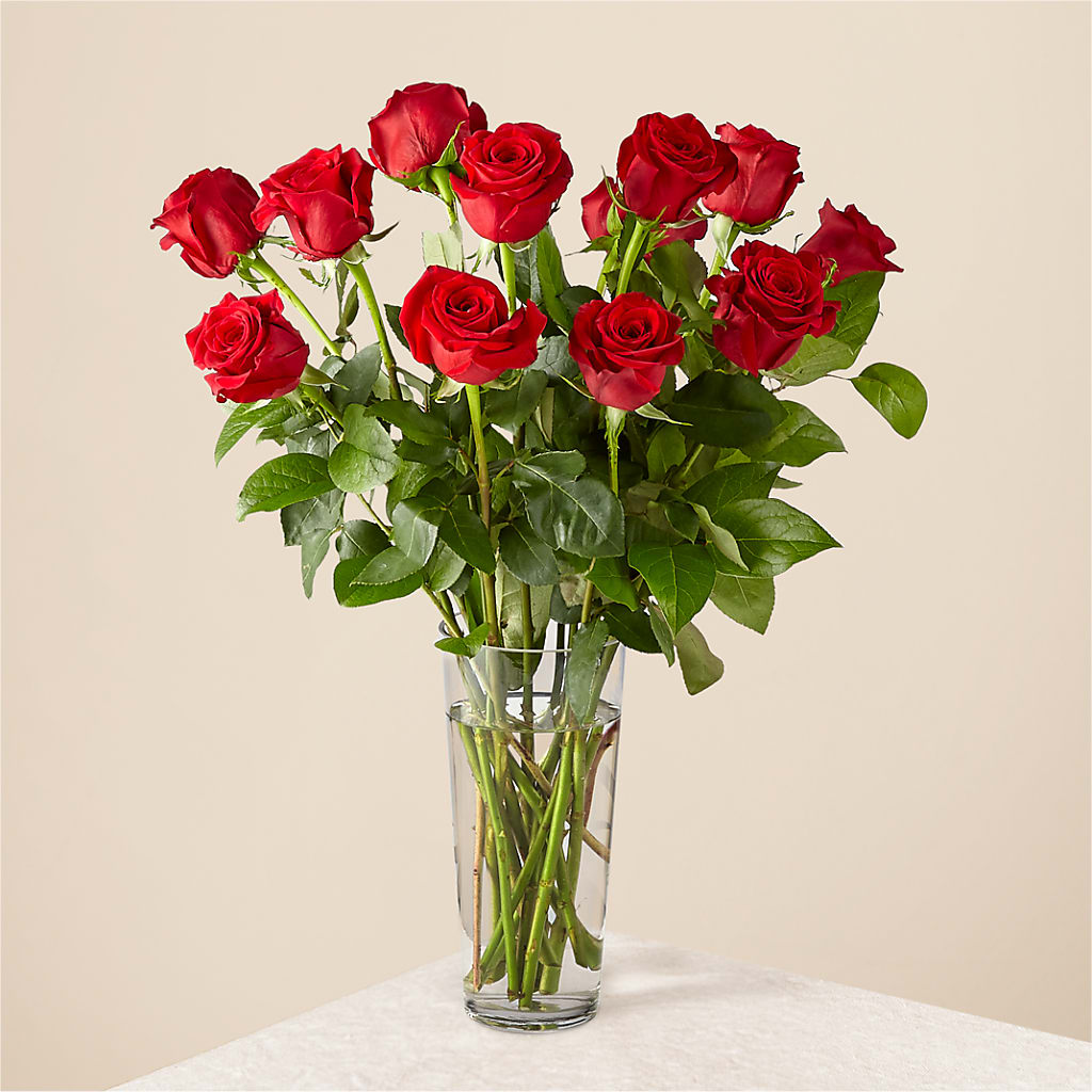 Long Stem Red Rose Bouquet – ROBIN'S CORNER FLOWER SHOP, Taunton MA