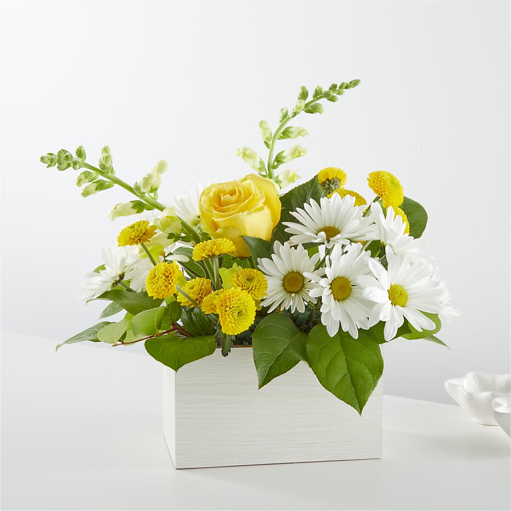 Sun Salutation Box Bouquet – ROBIN'S CORNER FLOWER SHOP, Taunton MA
