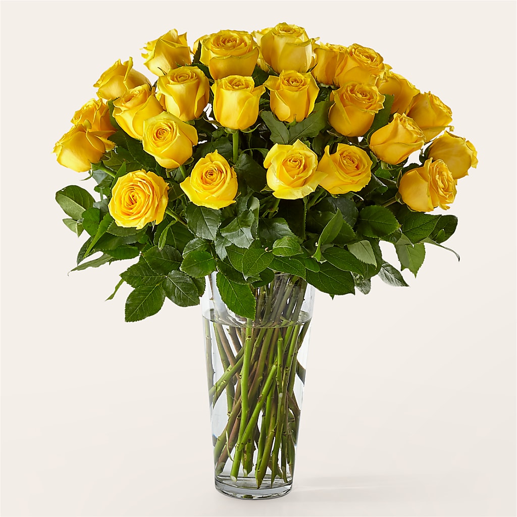 Long Stem Yellow Rose Bouquet – ROBIN'S CORNER FLOWER SHOP, Taunton MA