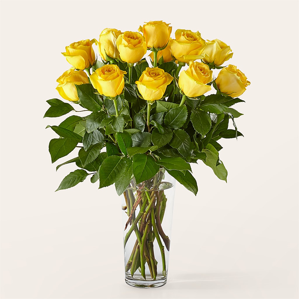 Long Stem Yellow Rose Bouquet – ROBIN'S CORNER FLOWER SHOP, Taunton MA