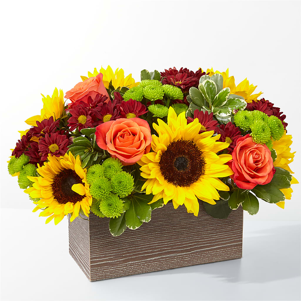 Happy Harvest Garden – ROBIN'S CORNER FLOWER SHOP, Taunton MA