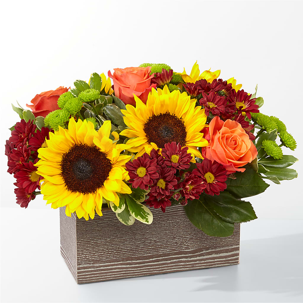 Happy Harvest Garden – ROBIN'S CORNER FLOWER SHOP, Taunton MA