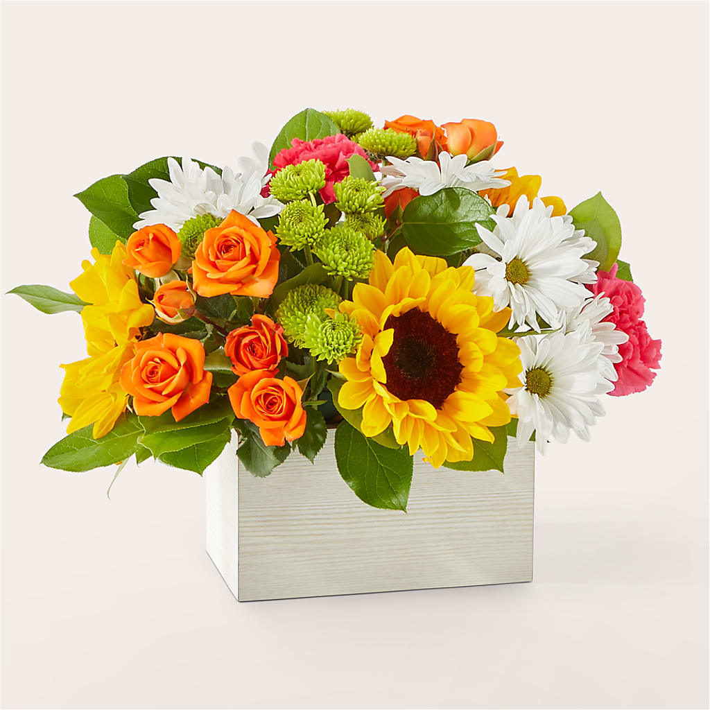 Sun-drenched Blooms Box Bouquet – ROBIN'S CORNER FLOWER SHOP, Taunton MA