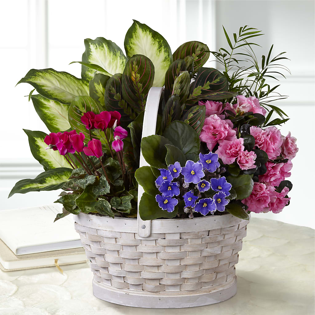 Peaceful Garden Planter – ROBIN'S CORNER FLOWER SHOP, Taunton MA