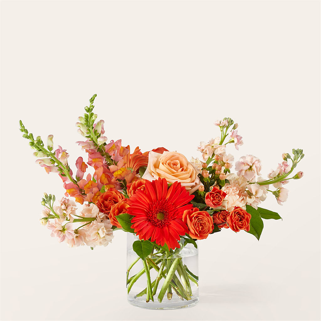 Paloma Please Bouquet – ROBIN'S CORNER FLOWER SHOP, Taunton MA