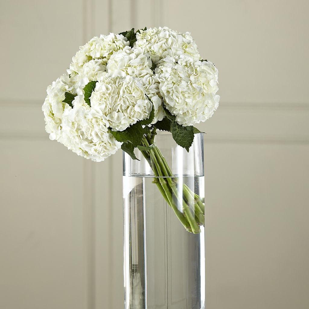 White Hydrangea Hand-Tied Bouquet – ROBIN'S CORNER FLOWER SHOP, Taunton MA