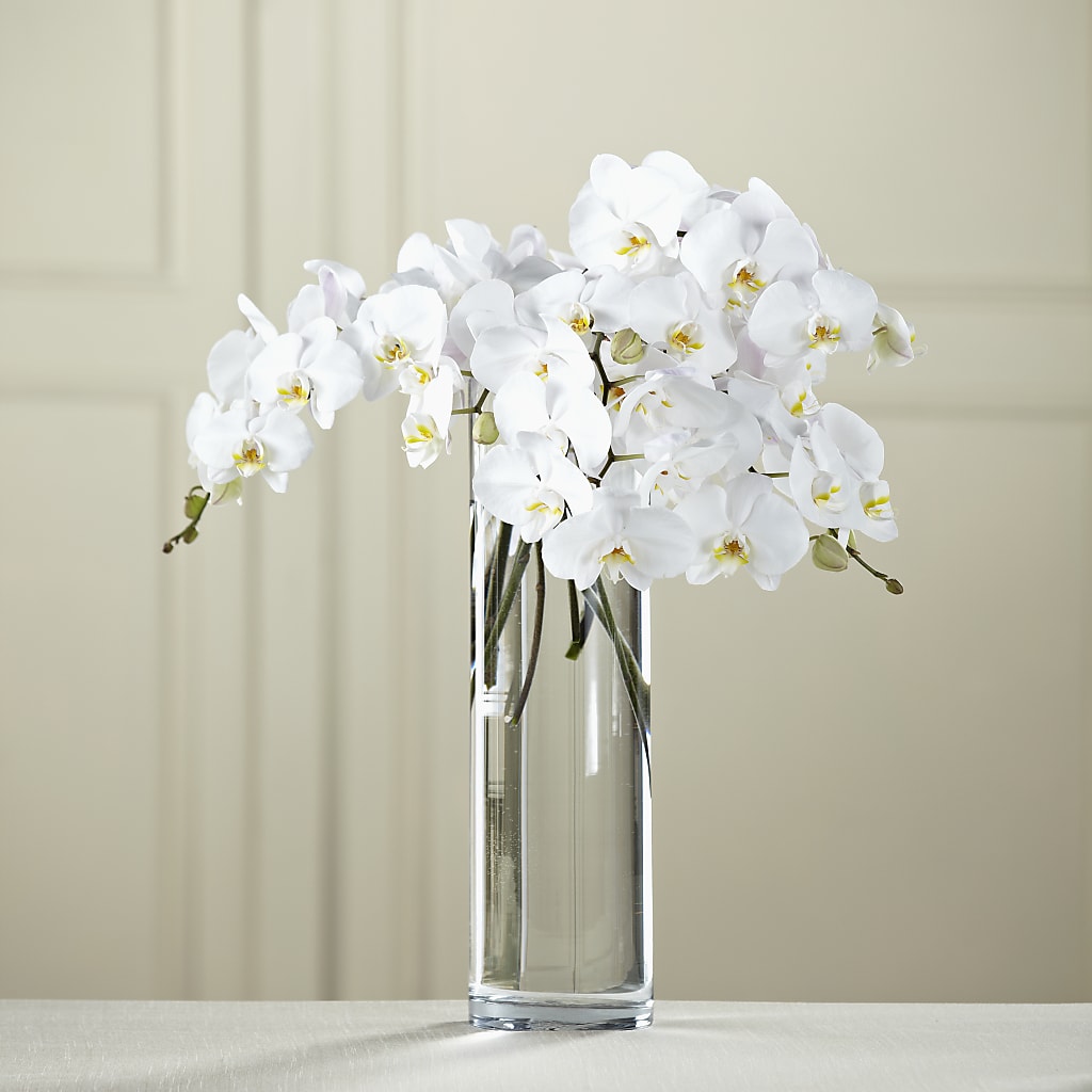 White Phalaenopsis Bouquet – ROBIN'S CORNER FLOWER SHOP, Taunton MA
