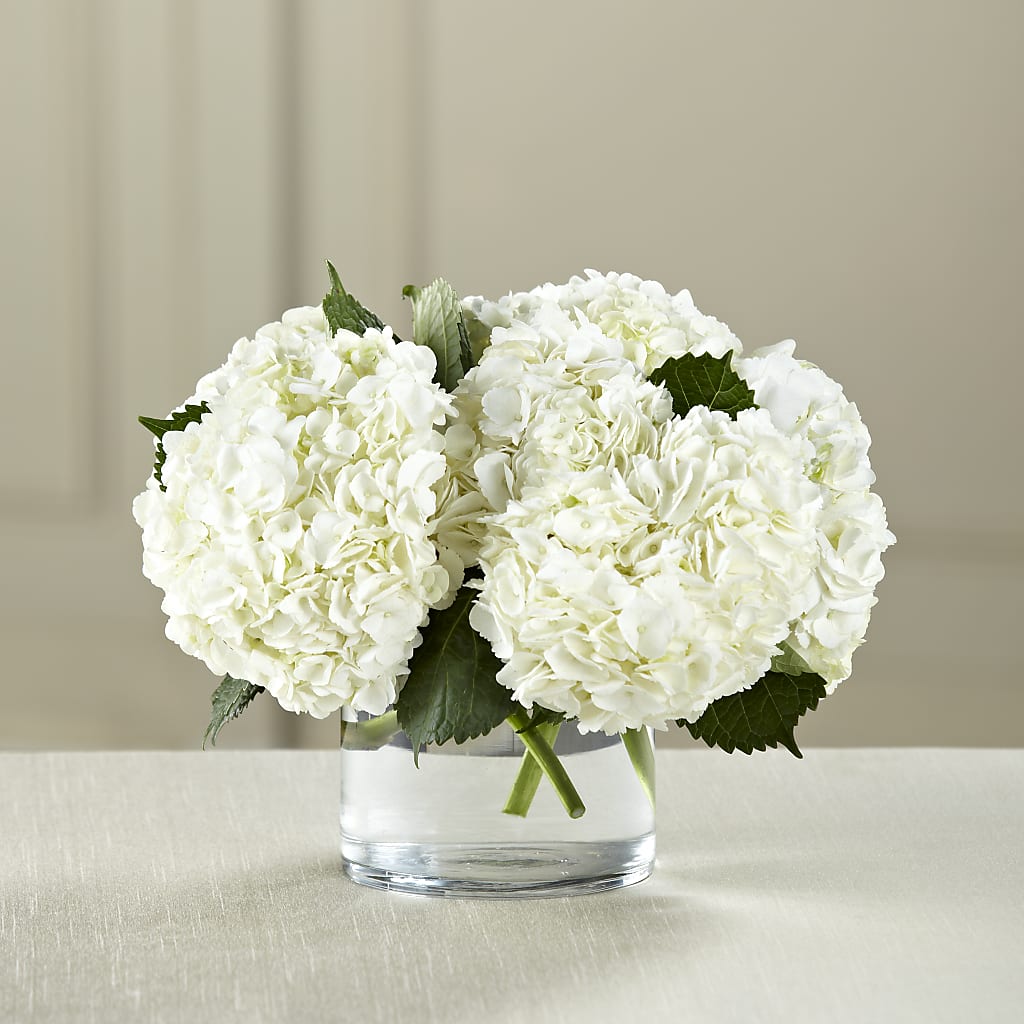 White Hydrangea Bouquet – ROBIN'S CORNER FLOWER SHOP, Taunton MA