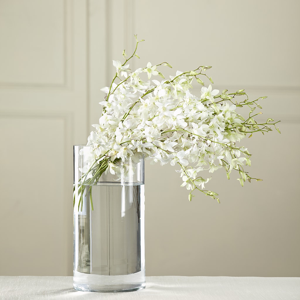 White Dendrobium Bouquet – ROBIN'S CORNER FLOWER SHOP, Taunton MA