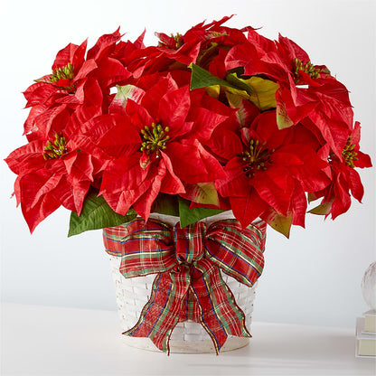 Happiest Holidays Poinsettia – ROBIN'S CORNER FLOWER SHOP, Taunton MA