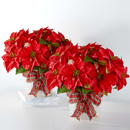 Happiest Holidays Poinsettia Bundle – ROBIN'S CORNER FLOWER SHOP, Taunton MA