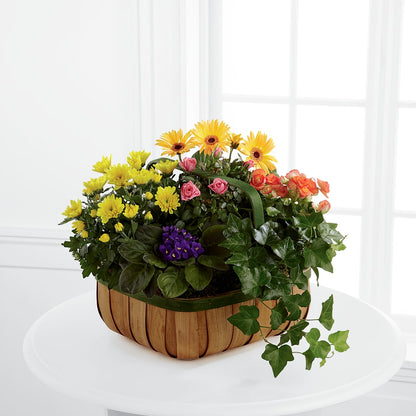 Gentle Blossoms Basket – ROBIN'S CORNER FLOWER SHOP, Taunton MA