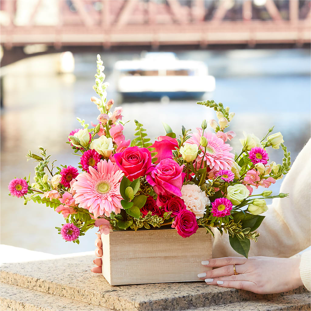 Too Cute Bouquet – ROBIN'S CORNER FLOWER SHOP, Taunton MA