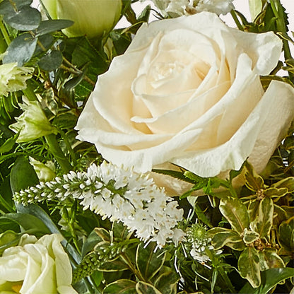 Cashmere Bouquet – ROBIN'S CORNER FLOWER SHOP, Taunton MA