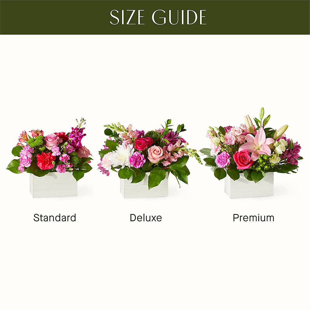 Sweetberry Box – A Florist Original – ROBIN'S CORNER FLOWER SHOP, Taunton MA
