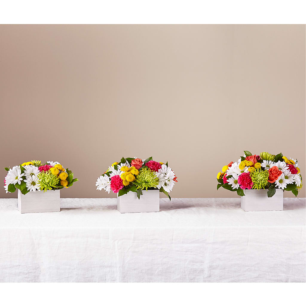 Sorbet Bouquet – ROBIN'S CORNER FLOWER SHOP, Taunton MA