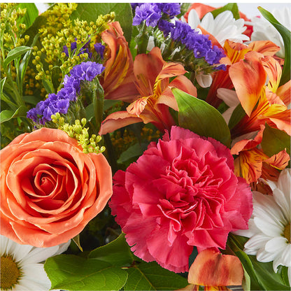 Oopsie Daisy Box Bouquet – ROBIN'S CORNER FLOWER SHOP, Taunton MA