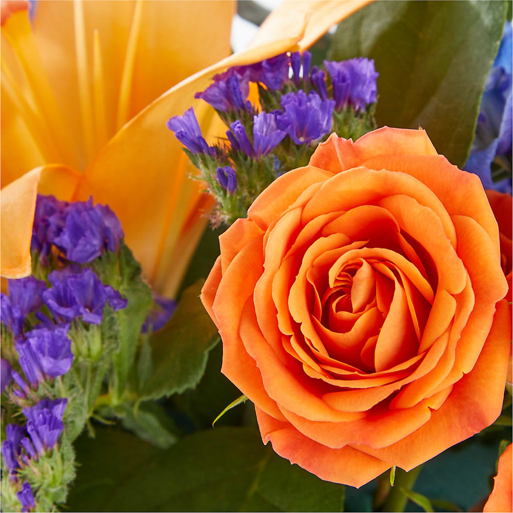Radiant Citrus Box Bouquet – ROBIN'S CORNER FLOWER SHOP, Taunton MA