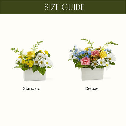 Sun Salutation Box Bouquet – ROBIN'S CORNER FLOWER SHOP, Taunton MA
