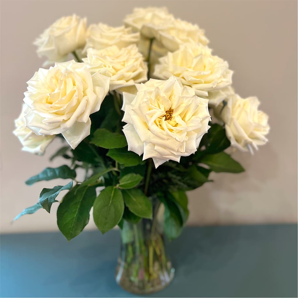 Long Stem Yellow Rose Bouquet – ROBIN'S CORNER FLOWER SHOP, Taunton MA