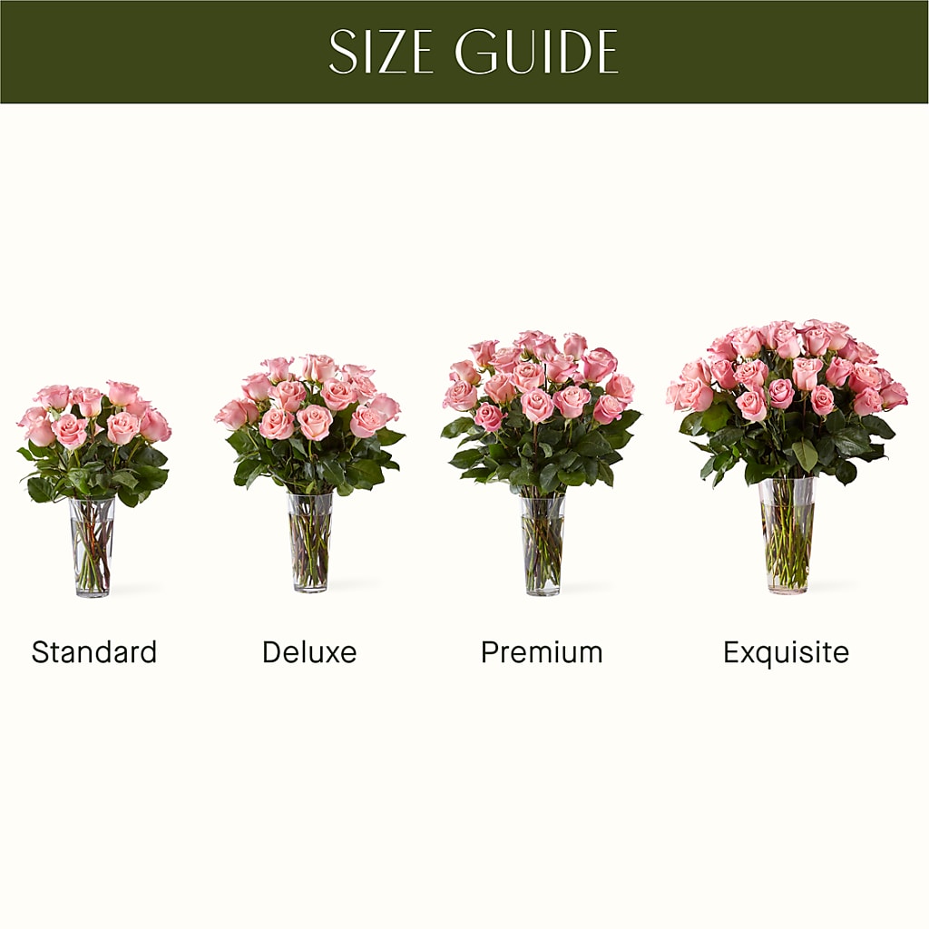 Long Stem Pink Rose Bouquet – ROBIN'S CORNER FLOWER SHOP, Taunton MA