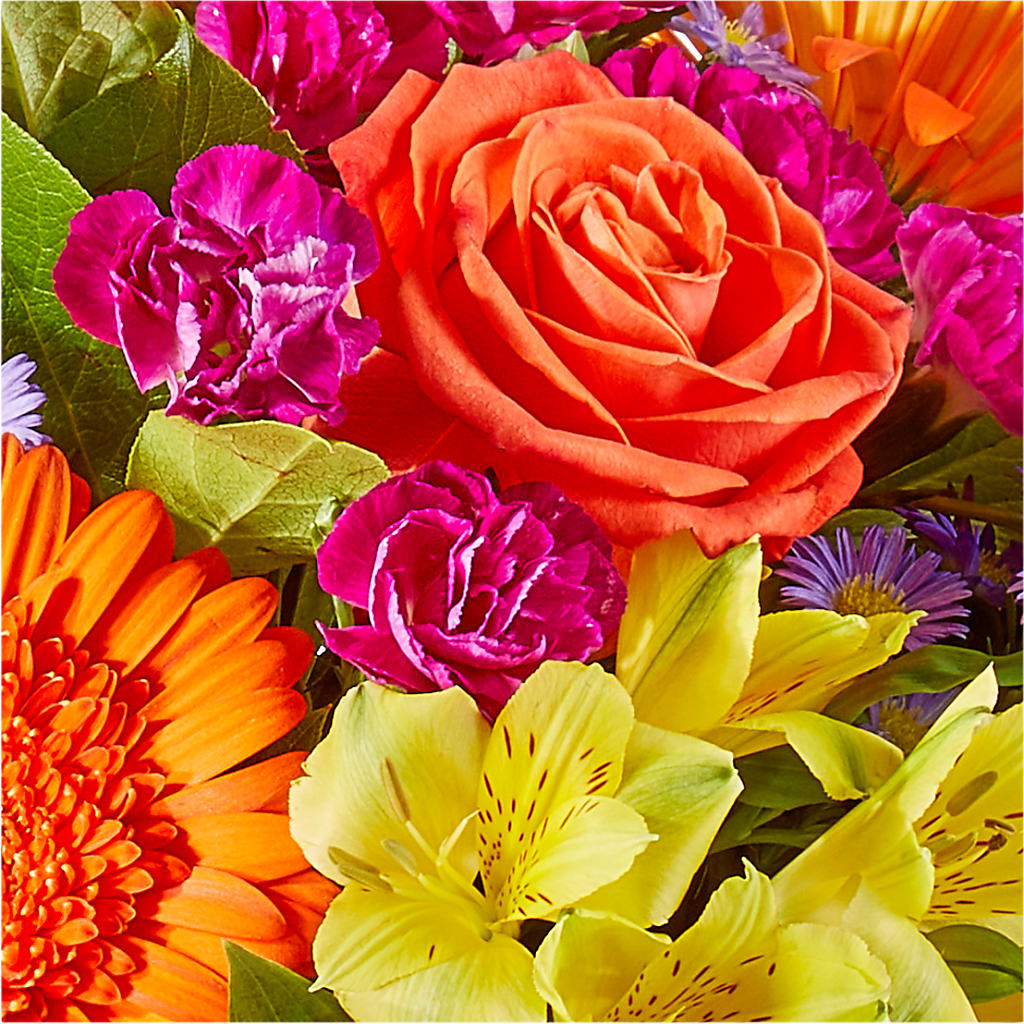 Tricks & Treats Pumpkin – ROBIN'S CORNER FLOWER SHOP, Taunton MA