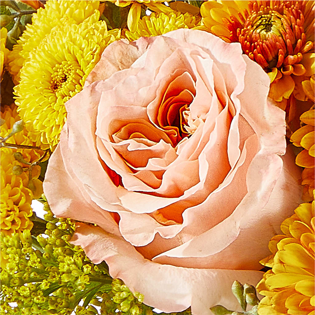Peachy Pumpkin – ROBIN'S CORNER FLOWER SHOP, Taunton MA