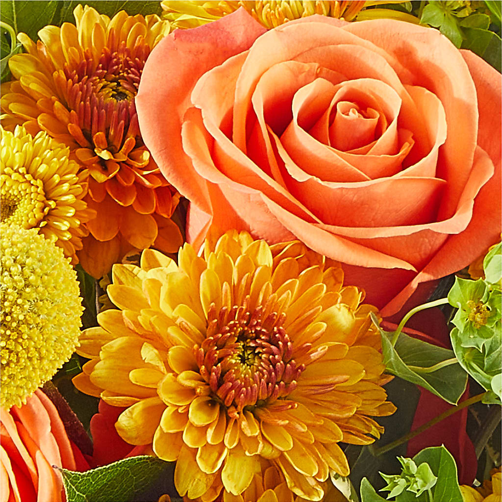 Gourdgeous Pumpkin – ROBIN'S CORNER FLOWER SHOP, Taunton MA