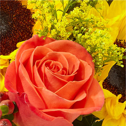 Pick of the Patch Pumpkin Bouquet – ROBIN'S CORNER FLOWER SHOP, Taunton MA