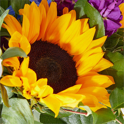 Catching Rays Bouquet – ROBIN'S CORNER FLOWER SHOP, Taunton MA