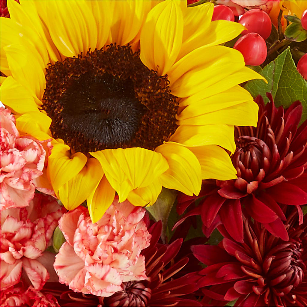 Fresh Cider Bouquet – ROBIN'S CORNER FLOWER SHOP, Taunton MA
