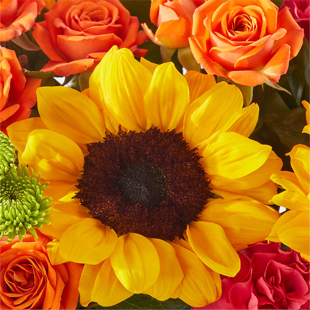 Sun-drenched Blooms Box Bouquet – ROBIN'S CORNER FLOWER SHOP, Taunton MA