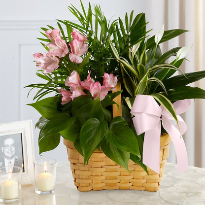 Living Spirit Dishgarden – ROBIN'S CORNER FLOWER SHOP, Taunton MA