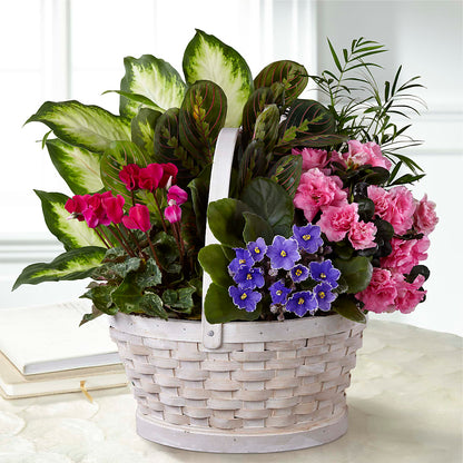 Peaceful Garden Planter – ROBIN'S CORNER FLOWER SHOP, Taunton MA