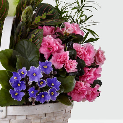 Peaceful Garden Planter – ROBIN'S CORNER FLOWER SHOP, Taunton MA