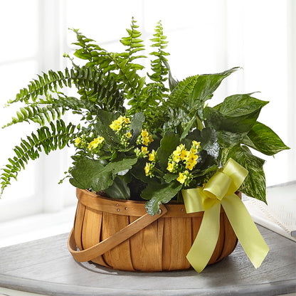 Always Dear Dishgarden – ROBIN'S CORNER FLOWER SHOP, Taunton MA