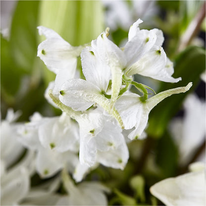 Classic Ivory – A Florist Original – ROBIN'S CORNER FLOWER SHOP, Taunton MA
