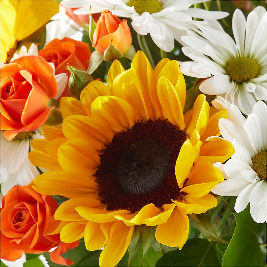Sun-drenched Blooms Bouquet – ROBIN'S CORNER FLOWER SHOP, Taunton MA