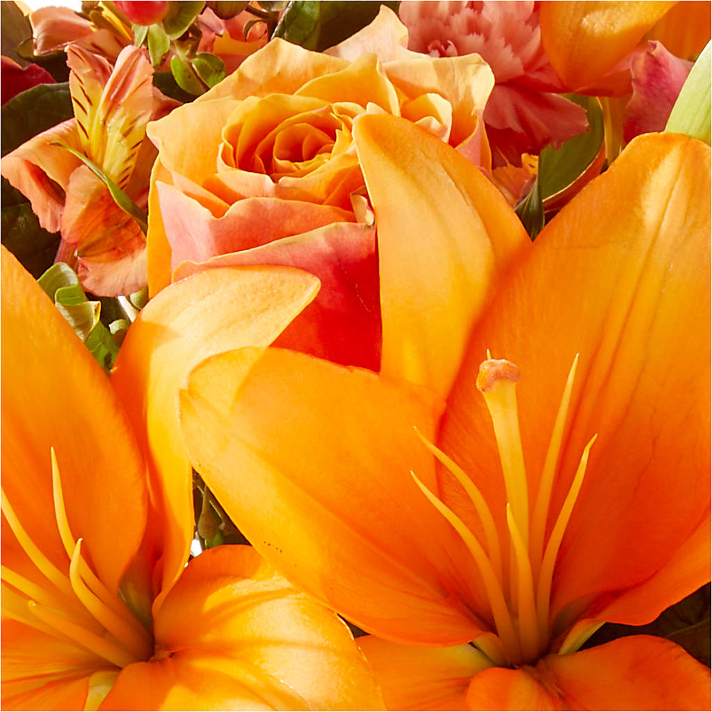 Afternoon Light Bouquet – ROBIN'S CORNER FLOWER SHOP, Taunton MA
