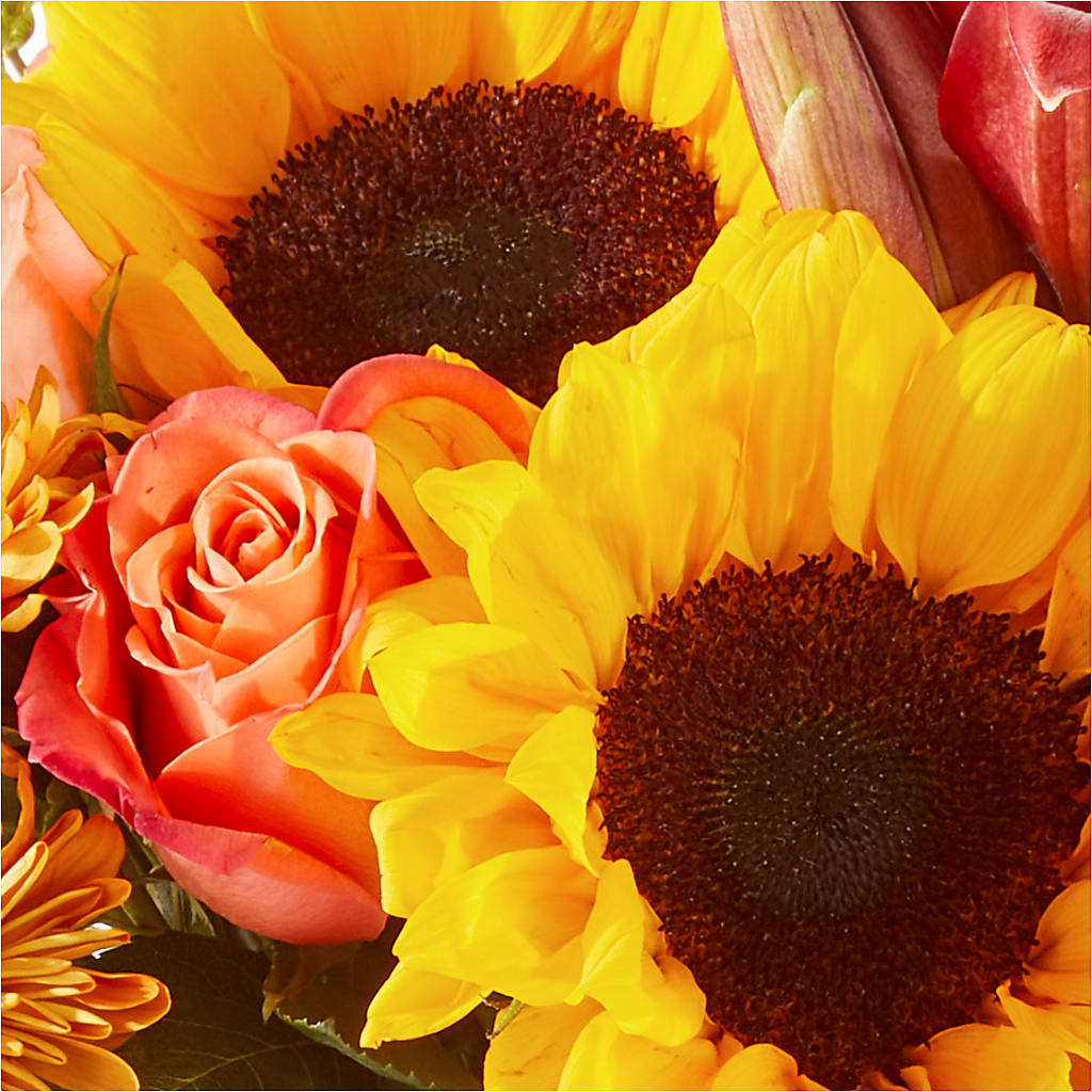 Acorn Lane Bouquet – ROBIN'S CORNER FLOWER SHOP, Taunton MA
