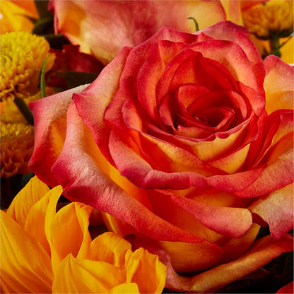 Picnic in the Park Bouquet – ROBIN'S CORNER FLOWER SHOP, Taunton MA