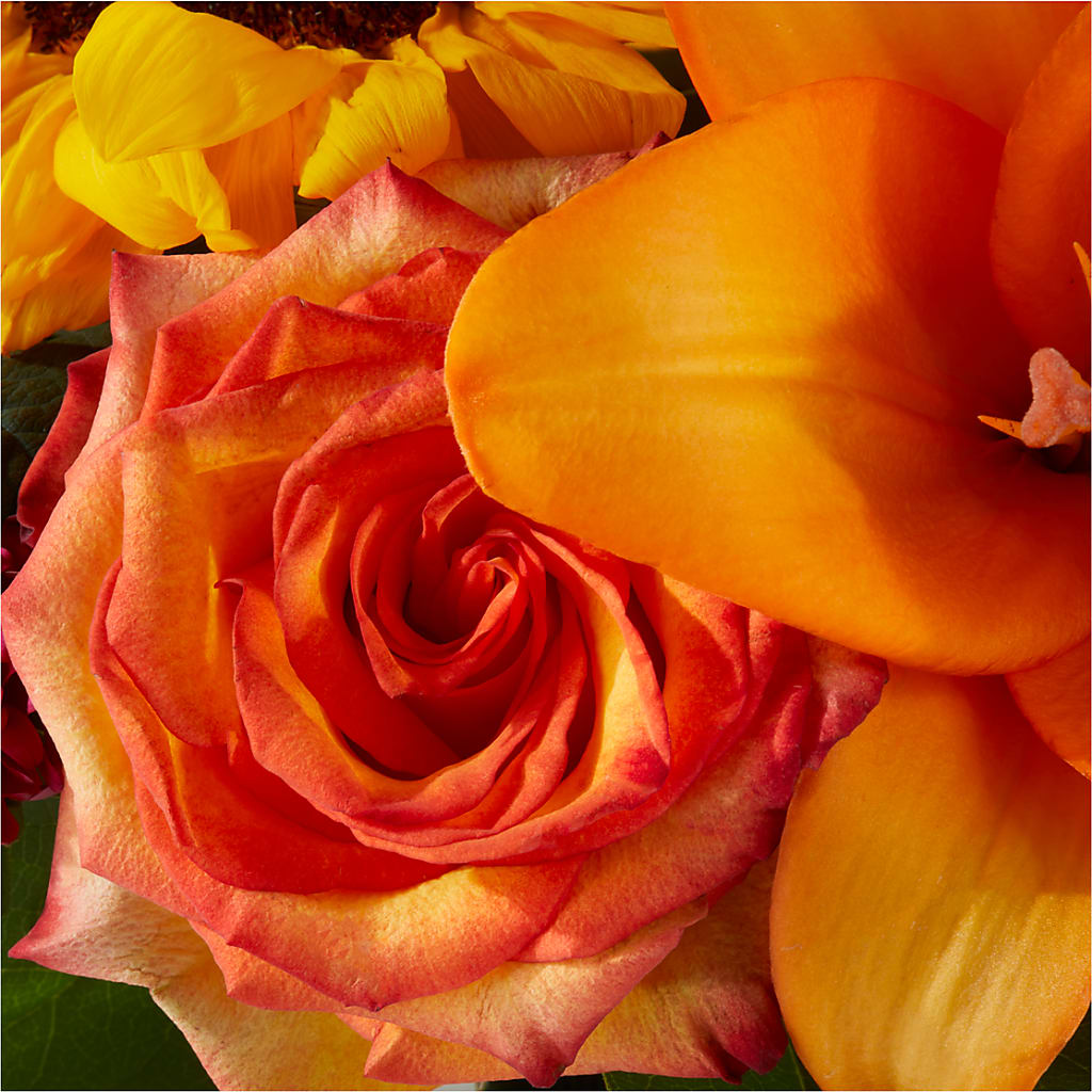 Grateful Centerpiece – ROBIN'S CORNER FLOWER SHOP, Taunton MA