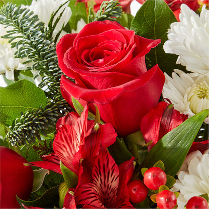 Letters to Santa Bouquet – ROBIN'S CORNER FLOWER SHOP, Taunton MA