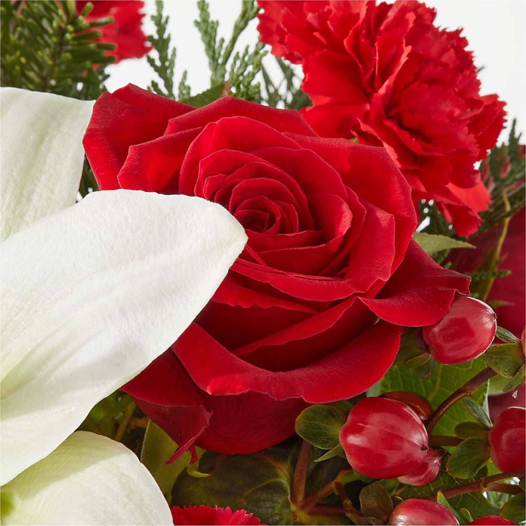Oh So Jolly Bouquet – ROBIN'S CORNER FLOWER SHOP, Taunton MA