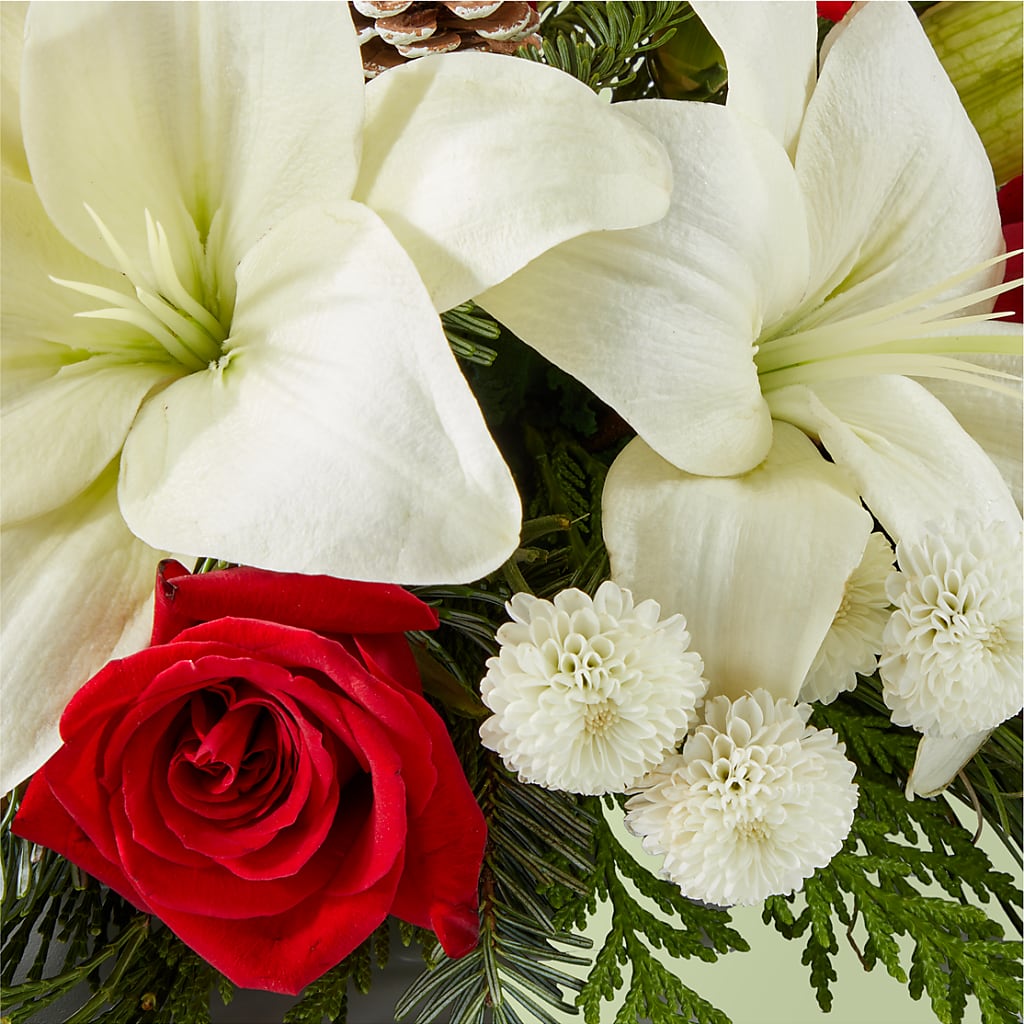 Seasonal Festivities Centerpiece – ROBIN'S CORNER FLOWER SHOP, Taunton MA