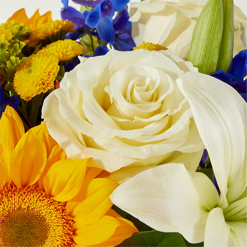Stargazing Bouquet – ROBIN'S CORNER FLOWER SHOP, Taunton MA