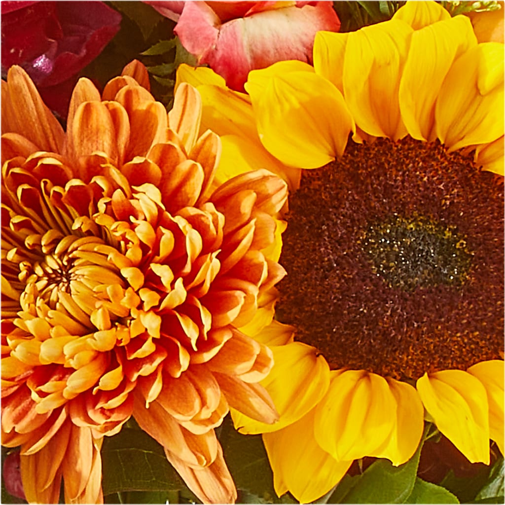 Seasons Change Bouquet – ROBIN'S CORNER FLOWER SHOP, Taunton MA