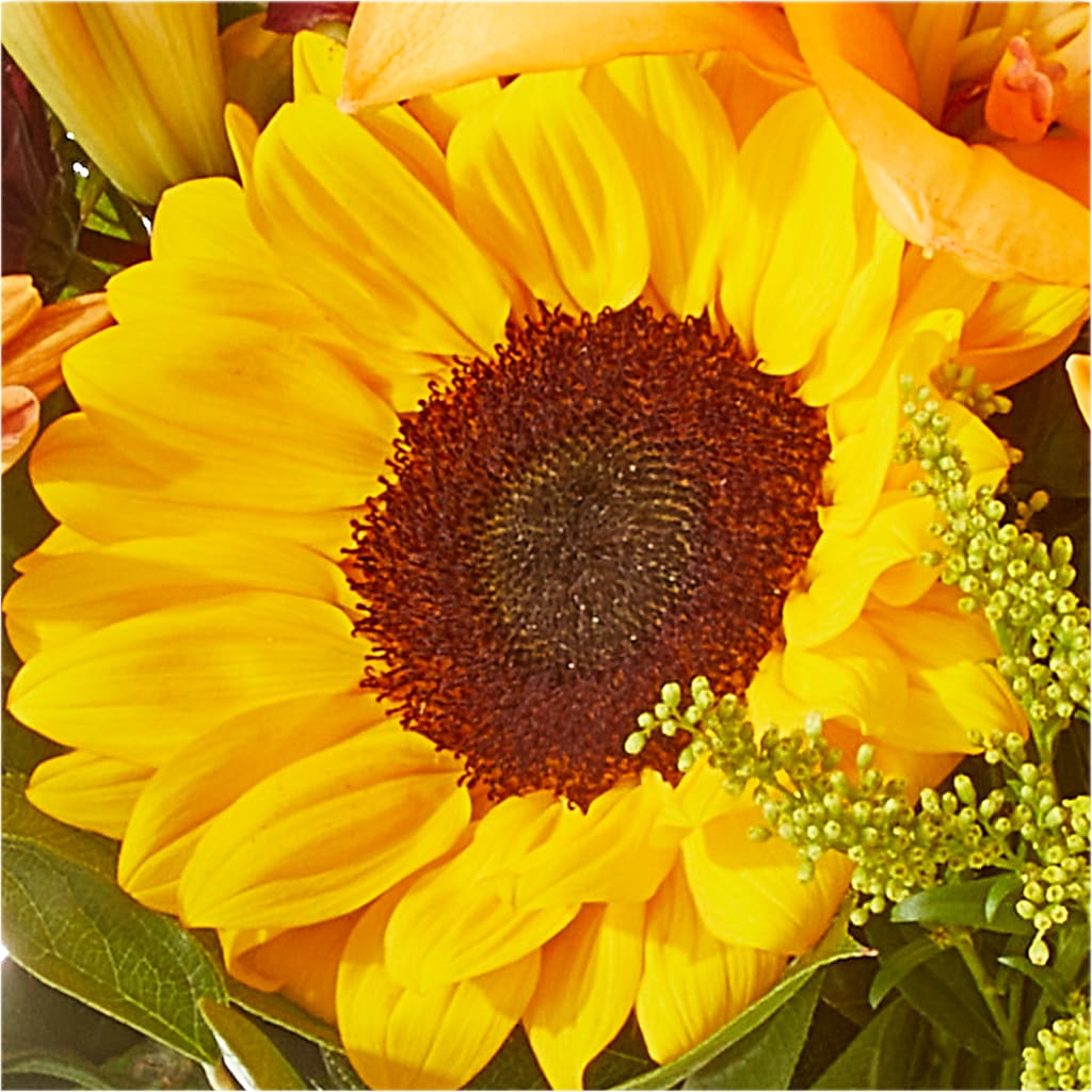 Seasons Change Bouquet – ROBIN'S CORNER FLOWER SHOP, Taunton MA