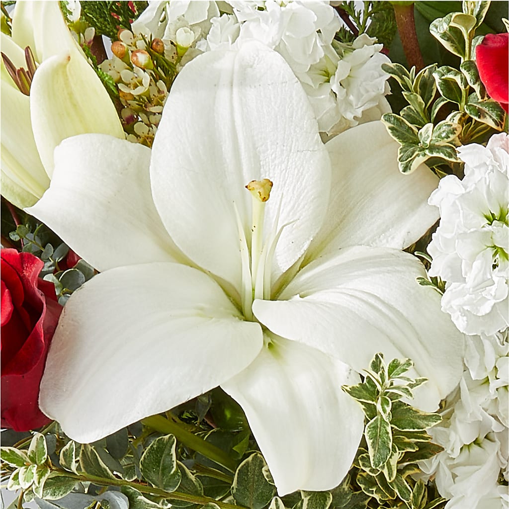 Twinkle Lights Bouquet – ROBIN'S CORNER FLOWER SHOP, Taunton MA
